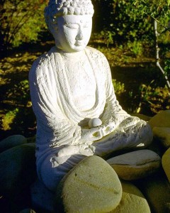 Meditation, Yoga, Qi Gong